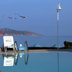 Ege & Ayvalı