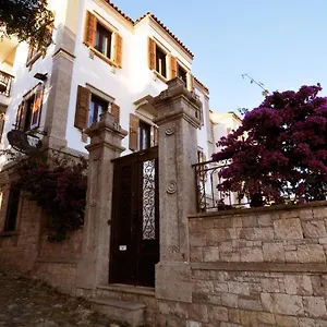Tas Ayvalı